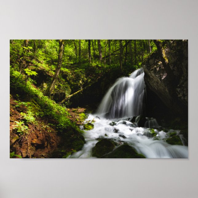 Poster Cascade magique dans une forêt verdoyante enchante (Devant)