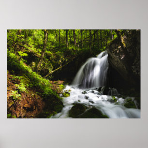 Poster Cascade magique dans une forêt verdoyante enchante