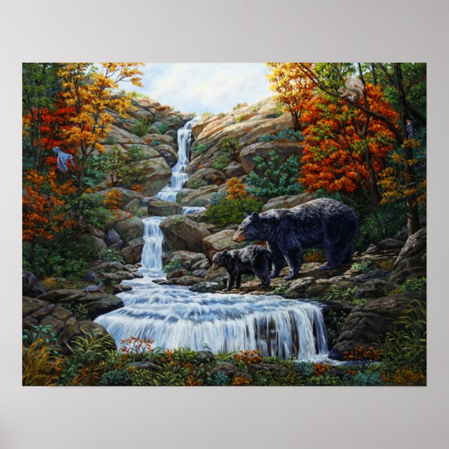 Poster Cascade Mère et Cube Ours Noir (Devant)