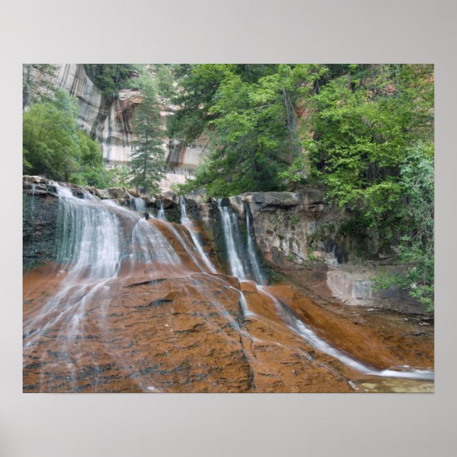 Poster Cascade, Parc national de Zion, Utah, États-Unis (Devant)