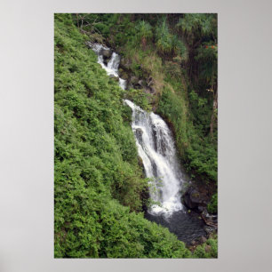 Poster Cascade près de Hilo, Hawaï