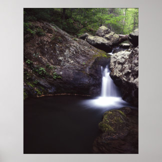 Poster Cascade sur la rivière Rose