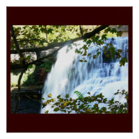 Cascade Tropical Vert Nature Personnaliser