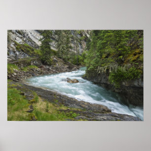 Poster Cascades
