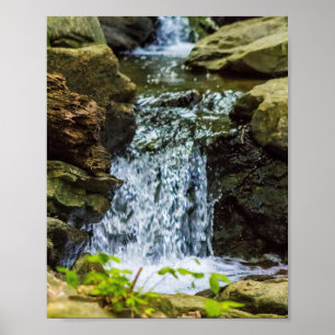 Poster Cascades de la forêt moussue