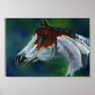 Poster Casquette de médecine Pinto Horse