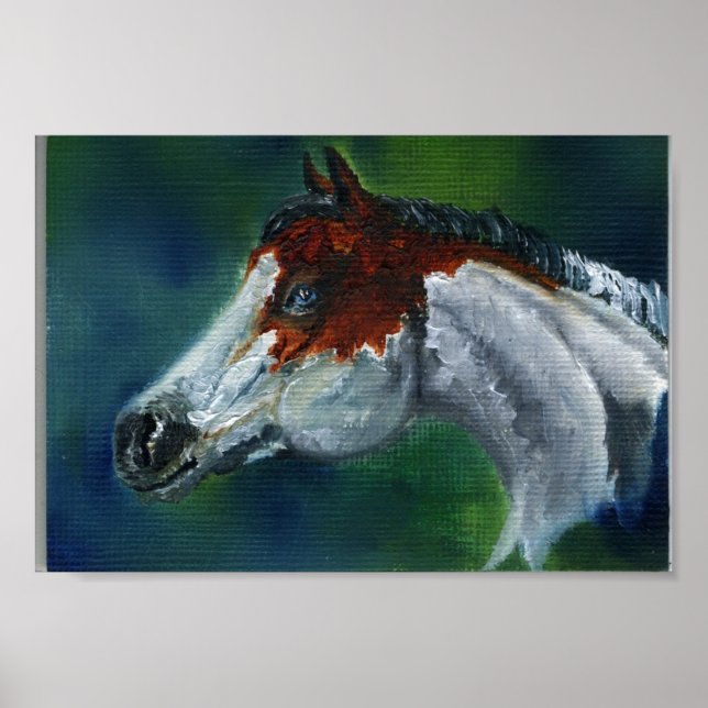 Poster Casquette de médecine Pinto Horse (Devant)