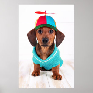 Poster Casquette de port de propulseur de chiot de teckel