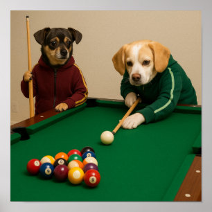 Poster "Casse de la 8-Ball"