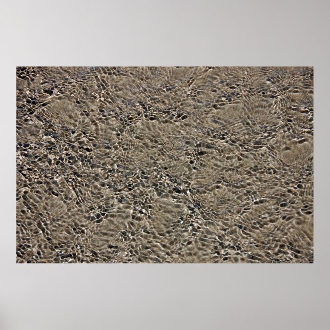 Poster Castlepoint (Devant)