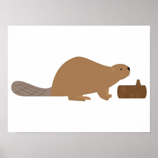 Poster Castor (Devant)