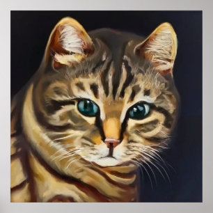 Poster Cat américain shorthair