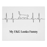 Cat EKG