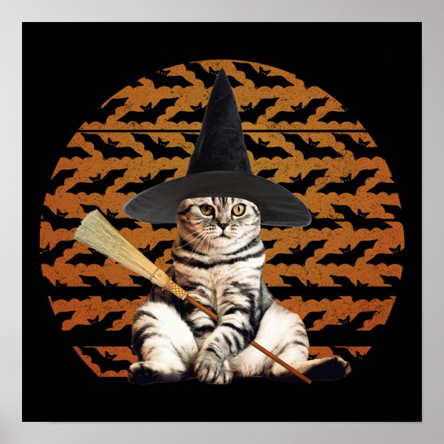 Poster Cat Halloween (Devant)