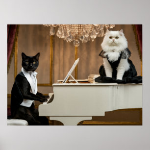 Poster Cat Piano Lounge