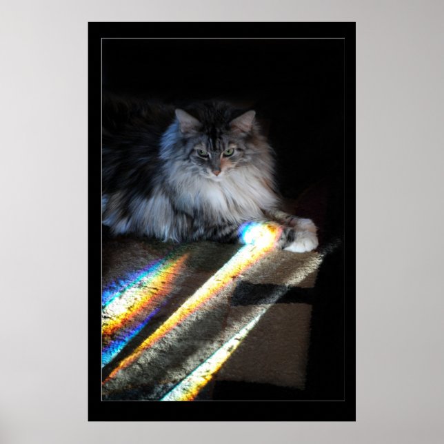 Poster Cat Rainbow Bridge (Devant)