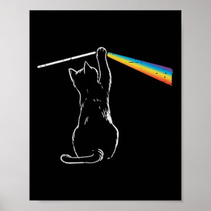 Poster Cat Rainbow Light Cool Prism Science Spectral Homm