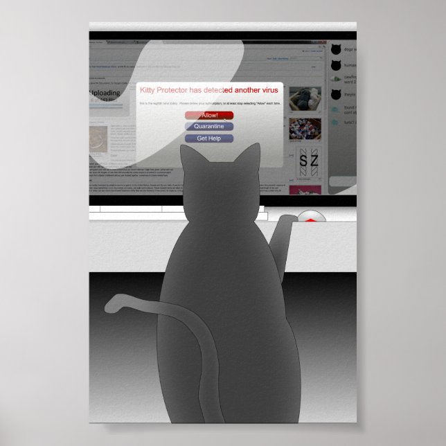 Poster cat-surf-2011 (Devant)