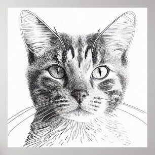 Poster Cat Wild Nature Animal Illustration Art Dessin