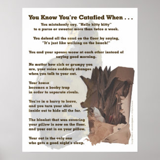 Poster Catafié. Seul un amoureux des chats comprendrait.