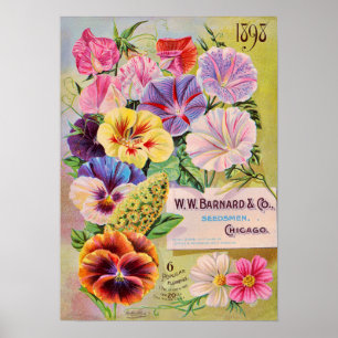 Poster Catalogue de semences de fleurs Annonce Vintage