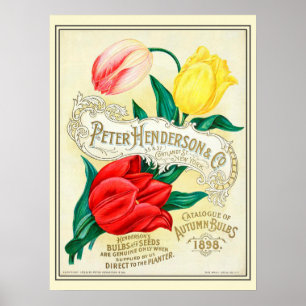 Poster Catalogue vintage de semences de fleurs de jardina