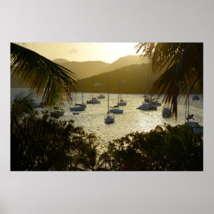 Poster Catamarans et voiliers
