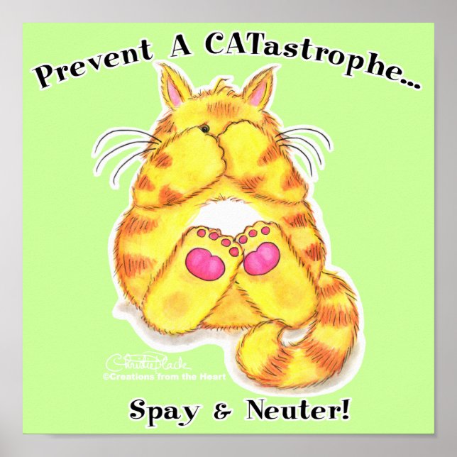 Poster CATastrophe (Devant)