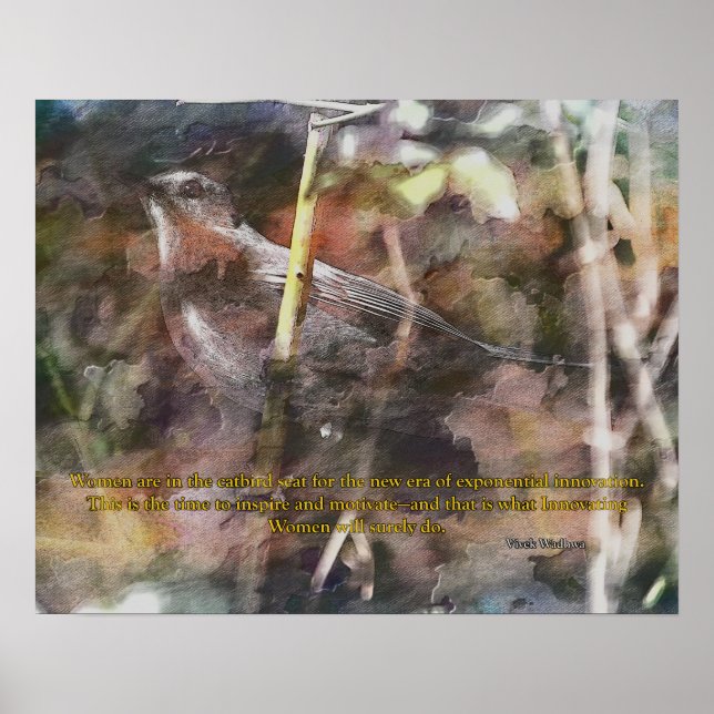 Poster Catbird avec citation Vivek Wadwha (Devant)