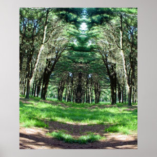 Poster Cathédrale des Arbres Ken Gage Photo Surréalisme A