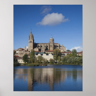 Poster Cathédrales et ville de Salamanque