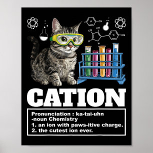 Poster Cation Chimie Humour Sciences Enseignant Cat Pun C