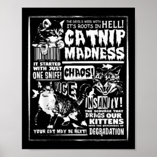 Poster Catnip Madness Cute Kitten Cadeau Amoureux des cha