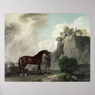 Poster Cato' et Groom