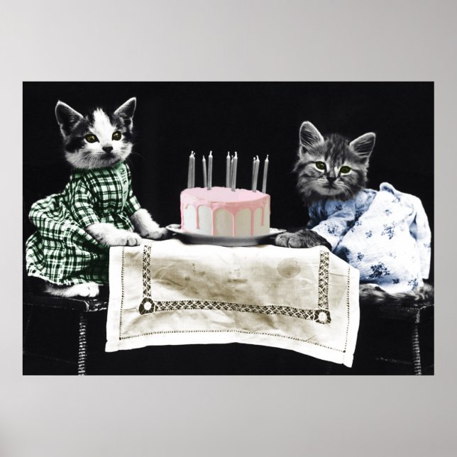 Poster Cats celebrating a birthday with cake and candles (Devant)