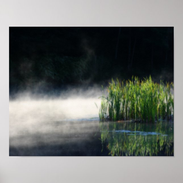 Poster Cattails Dans La Pose Sur Un Étang Orton Art (Devant)