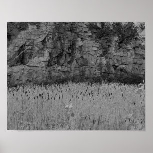 Poster Cattails de mur de carrière de roche 1 copie