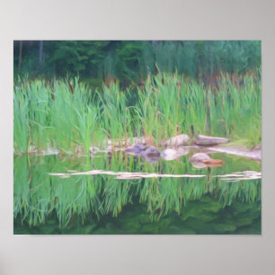 Poster Cattails Pond Réflexions Photo Peinture