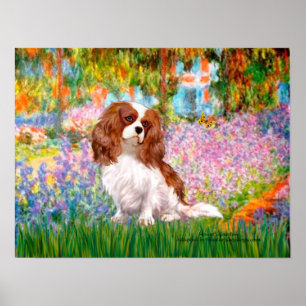 Poster Cavalier King Charles (Blenheim) - Jardin