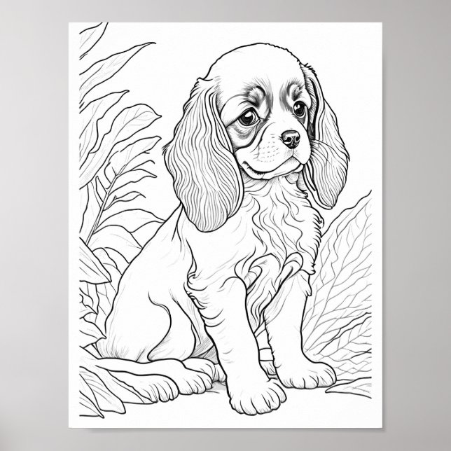 Poster Cavalier King Charles Dog Coloration adulte (Devant)