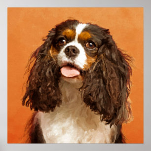 Poster Cavalier King Charles Spaniel