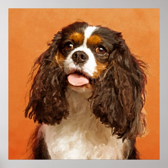 Poster Cavalier King Charles Spaniel (Devant)