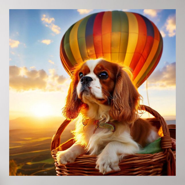 Poster Cavalier King Charles Spaniel à cheval sur un ball (Devant)