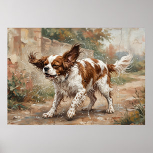 Poster Cavalier King Charles Spaniel Jouant dans le Jardi