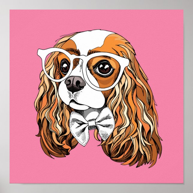 Poster Cavalier King Charles Spaniel Portrait (Devant)