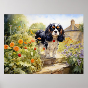 Poster Cavalier King Charles Spaniel tricolore