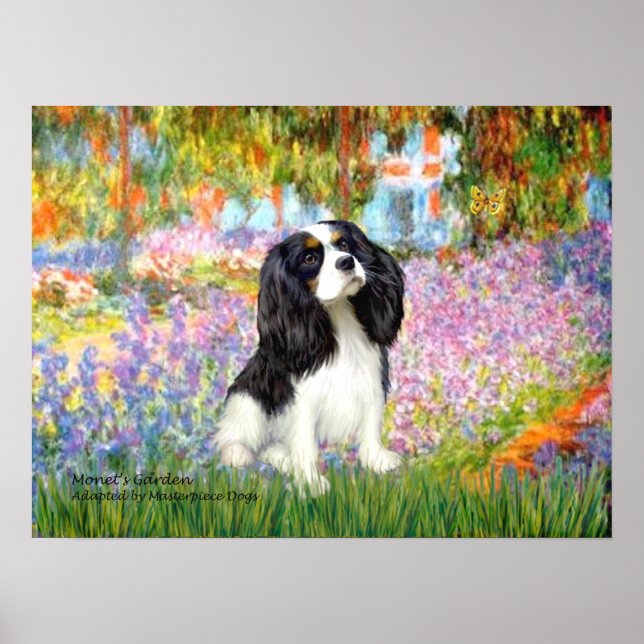 Poster Cavalier King Charles (tri couleur) - Jardin (Devant)
