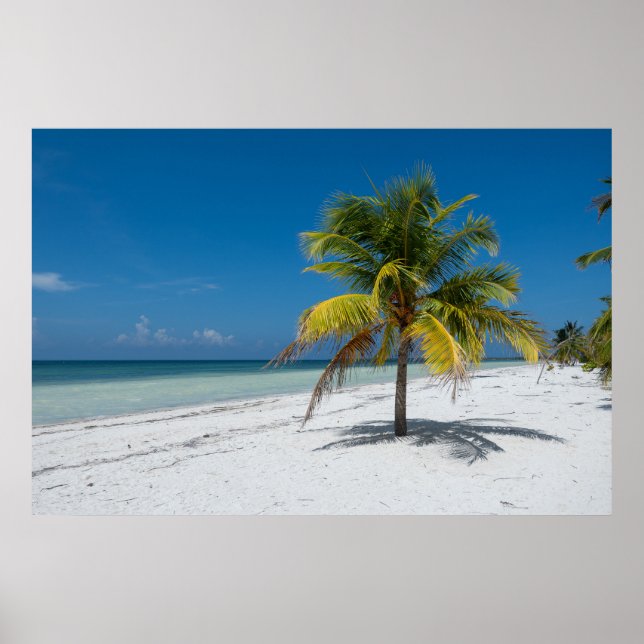 Poster Cayo Blanco Beack in Cuba (Devant)
