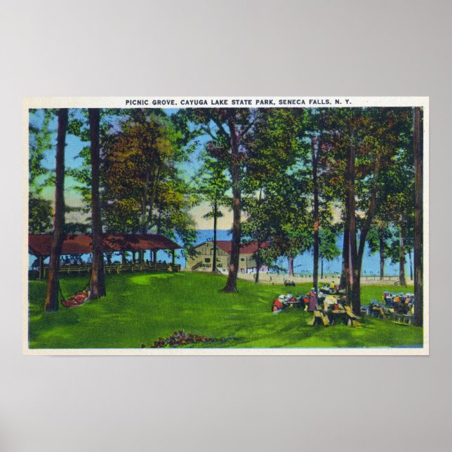 Poster Cayuga Lake State Park Scene (Devant)