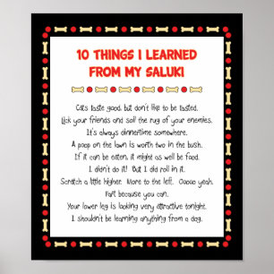 Poster Ce Que J'Ai Appris De Mon Saluki